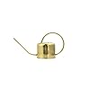 Kikkerland gieter, metaal, goud, 37,5 x 13 x 19,5 cm