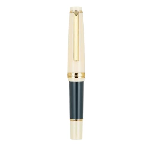 Stylo plume gris fer finition haute qualité détails dorés et plume fine de précision