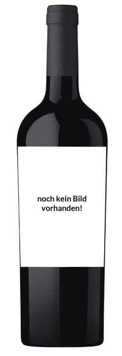 Di Lenardo Merlot IGT Monovitigno 2023 (1 x 0.75 l)