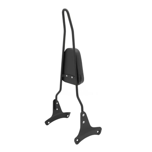 Dossier passager arrière moto Shadow VT 750 VT 400 1997-2003 custom