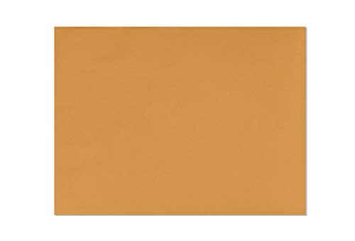Envelopes com fecho – Envelopes de catálogo Kraft marrom 24 x 30 cm, tamanho carta – pacote com 15 –