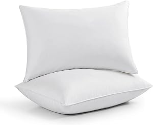 30% Goose Down 70% Feather Luxury Cotton White Pillow Set of 2 Piece (17" X 27")