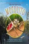 The Life Cycle of a Mosquito
