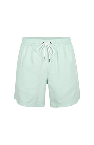 O'NEILL Cali 16' Shorts Bañador para Hombre, 15043 Beach Glass, Regular