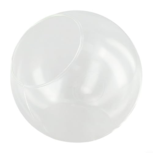 Terrarium élégant en verre pour plantes succulentes indispensable pour les fêtes (C)