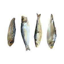 1kg Bag Dried Sprats for Dogs, Omega 3 and 6 Fish treat for dogs, by Two Amigos Pet Supplies
