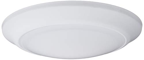 Westinghouse 6322900 Large LED Indoor/Outdoor Dimmable Surface Mount Wet Location,