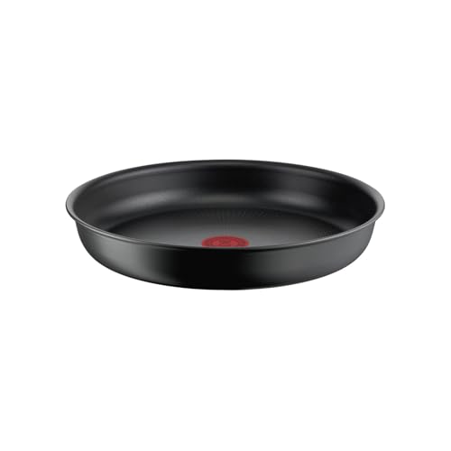 Tefal - Sartén de 22 cm Ingenio Ultimate para todo tipo de fuegos e inducción - L7640343