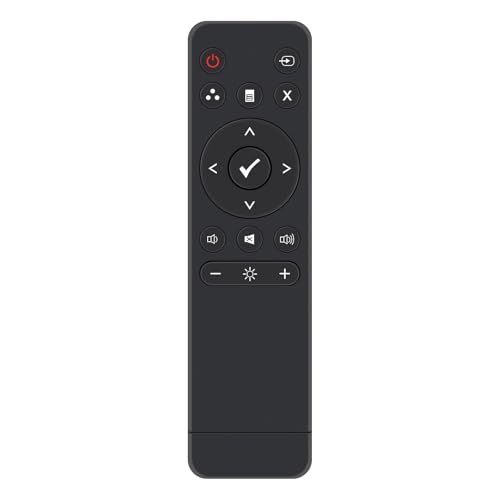 Télécommande moniteur Dell E5515H cassée solution rechange rapide