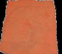 1 Qt. Pottery Stain Concentrate, (Makes 5 quarts), to Color Concrete Walks, Patio, Steps…