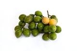 Fresh Spanish Limes (genip,quenepa,mamoncillo,limoncillo) 2 Lbs