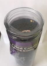 Santa Muerte Proteccion Fixed Candle