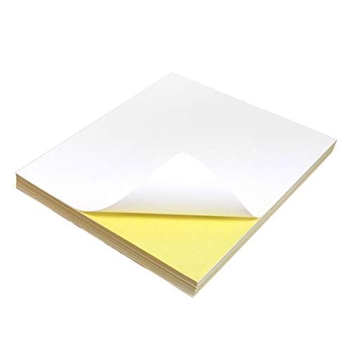 Evergreen Goods 1000 Sheets A4 Matte Printable Sticker Paper – Self-Adhesive Labels Stickers – A4 Sticker Paper for Printing, Perfect for Inkjet & Laser Printers – Durable, Easy to Use, and Versatile