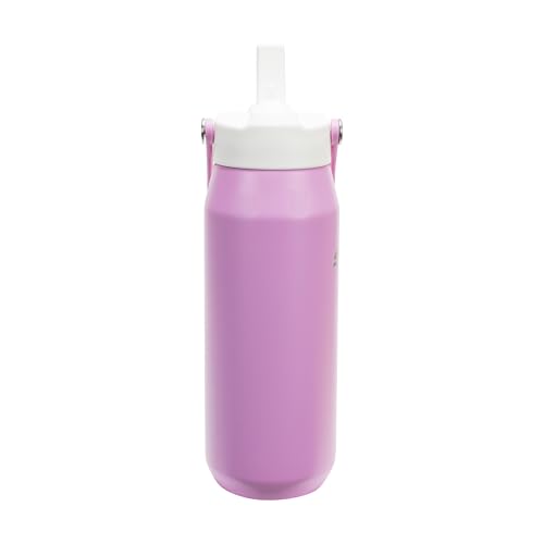 Image of PUMA Unisex Adult 24oz Insulated Stainless Steel Water Bottle With Straw & Carry Handle