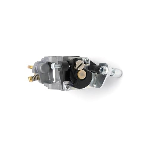 Carburateur de tronçonneuse pour simplifier la taille de vos haies de jardin - 4