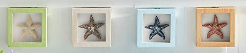 Beachcombers Starfish Shadow Box Frames Set Of 4 Wood Picture Photo Box Beach Coastal For Shelf Table Wall Art Decor Decoration Blue #TOP3