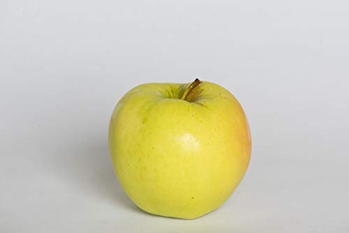 Ginger Gold Apples Gift Box (14 Apples)