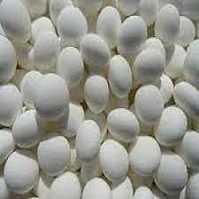 Scotch Mints - 2.2 Lbs