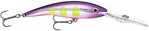 The Best Salmon Fishing Lure Deep Diving for 2026