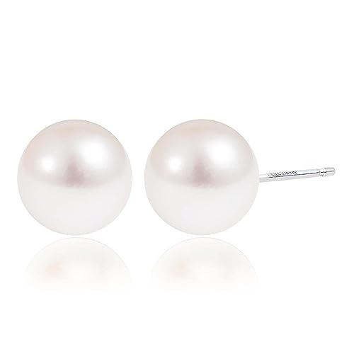 [NXeB[] sAX fB[X ^ p[ ꗱ X^bhsAX Pt900 v`i le56-0008-pt