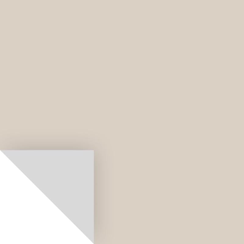 Samplize Benjamin Moore Pale Oak Peel & Stick Color Sample OC-20