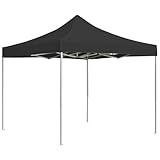 Rantry Professioneller Faltpavillon aus Aluminium, 2 x 2 m, Anthrazit, Außenpavillon für Garten, Balkon, Terrasse, Gartenpavillon, faltbar,