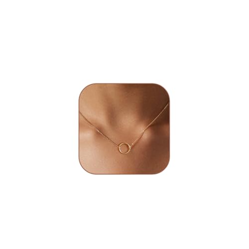 HERIER Gold Open Circle Necklace for Women 14k Gold Plated Dainty Ring Choker Necklaces Round Gold Necklace Trendy Jewelry for Women
