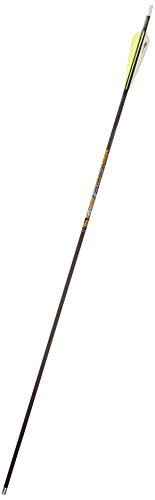 Flèches Gold Tip Kinetic avec ailettes de 10.2 cm noir pour maximiser l'énergie cinétique