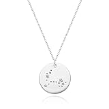 MEVECCO Sliver Necklace Coin Disc Zodiac 12 Constellation Pisces Star Engraved Horoscope Sign Astrology Pendant Sliver Plated Chain Dainty Personalized Simple Jewelry