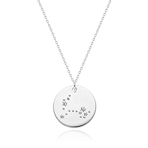 MEVECCO Sliver Necklace Coin Disc Zodiac...