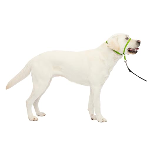 PetSafe Sanfter Führer Halsband mit Trainings-DVD - No Pull Hundehalsband, Large 60-130 Lb., Apfelgrün, Nylon, Zieht Nicht, lenkt den Hund sanft zu Ihnen hin, wenn er zieht