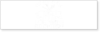 CafePress Painting Too Many Brushes Painter Bumper Sticker 10"x3" Rectangle Bumper Sticker Car Decal (10 Pack)