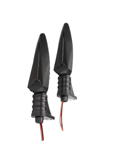 Feux clignotants LED moto pour voyages et road trips F800ST K1300S