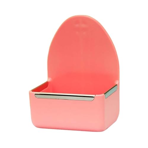 FewNvWa pP[WtB[_[AtFbgƒp̉aƐM, sN