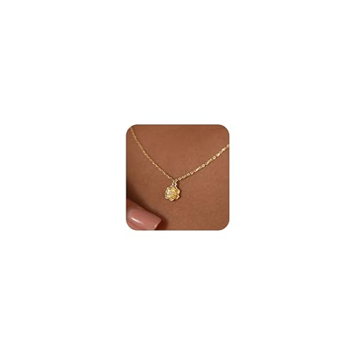Qyalie Dainty Flower Necklace valentine's Day Gifts for Women Birthflower Birthstone 14K Gold Plated...