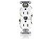 Leviton 15 Amp, 125 Volt, Industrial Series Heavy Duty Specification Grade, Duplex Receptacle, Straight Blade, Self Grounding, 5252-W, White