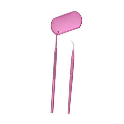 AUTSUPPL まつげエクステ ミラーキット 女性用ツールセット 2 in 1 ステンレススチール ラッシュロッド 日常使用