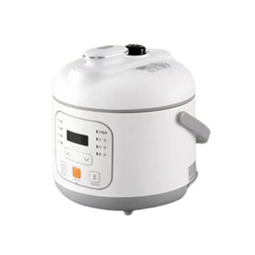 RajoNN Rice Cooker Non-stick Pan Multi-functional Appointment Regular Rice Small Mini Home Electric