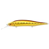 メガバス(Megabass) X-80 MAGNUM+1 GG アカキンイワシCH
