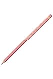 Caran d'Ache Pablo Colored Pencil, Salmon Pink (666.071)