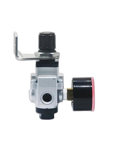 Vanne de régulation de pression pour circuits de vide et modèle NVR200-02BG