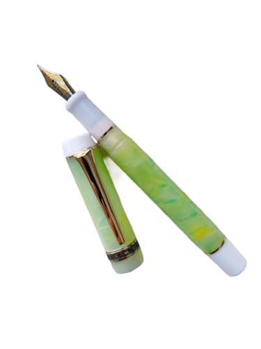 Stylo-plume marbré vert 24 couleurs cadeau de bureau idéal