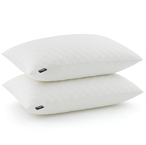 Promo Linge Lot de 2 Oreillers, Coussins à Mémoire de...