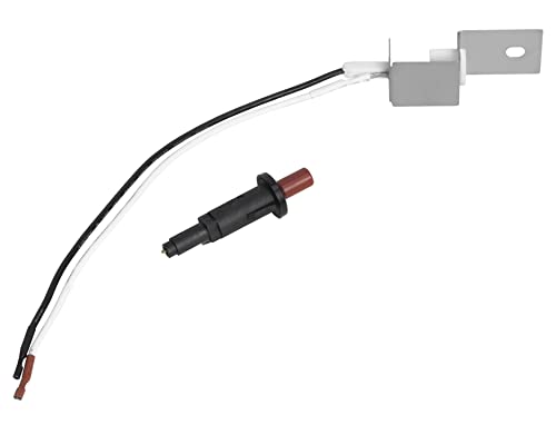 Image of DELSbbq 80463 Ignitor Kit for Weber Traveler Portable 9010001 9020001 9030001 9013001 Gas Grill, Push Button Ignitor Fire Starter for Weber Q100 Q120 Q200 Q220 Q1000 Q2000 Gas Grill, 80462