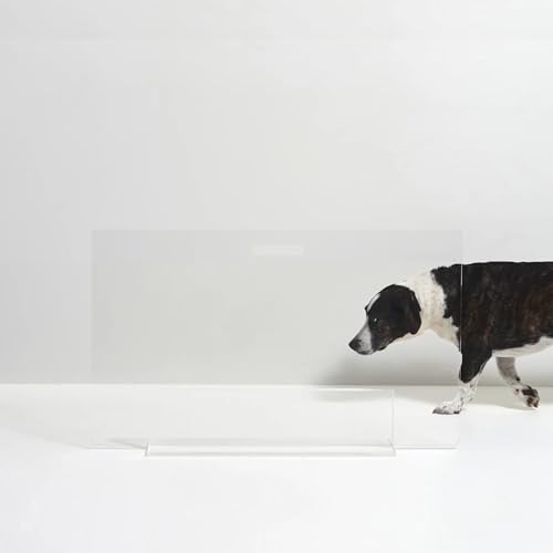 Hiddin Low Clear Freestanding Pet Gate – 36 Inch Wide Modern Acrylic Dog & Cat Barrier Panel – Transparent No-Installation Indoor Pet Fence for All Spaces – Stylish Home Safety Solution