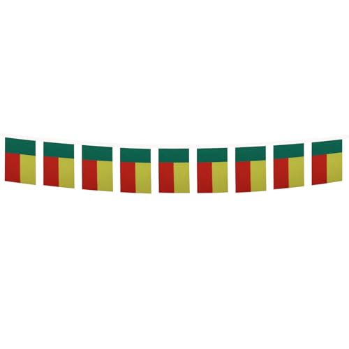 Image of AZ FLAG Benin 6 meters BUNTING Flag 20 flags 9'' x 6'' - Beninese STRING flags 15 x 21 cm
