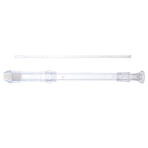 ERINGOGO 8Hole Key Recorder Wind Instrument for Beginners Music Learning Tool with Cleaning Stick for Students Safe and Design