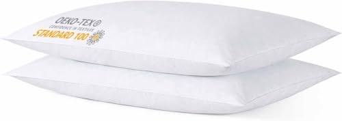 Image of Ultra Thin Flat Soft Bed Pillows Queen Size Set of 2 for Sleeping | Hypoallergenic Skin Friendly Back Stomach Sleeper Machine Washable White 20x30 inch