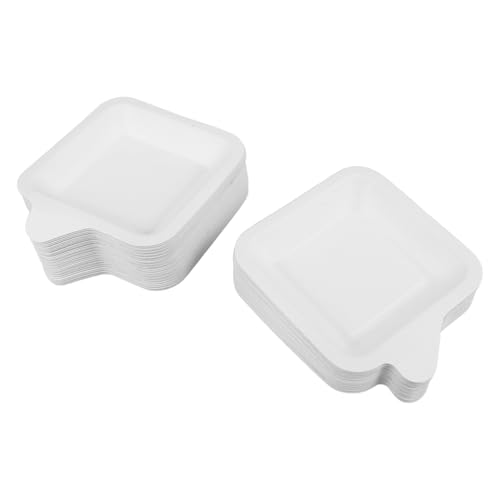 Healvian 100 Piezas Platos de Papel Cuadrados Pequeños para Tartas de Cumpleaños y Barbacoas Platos Desechables Resistentes para Postres Catering y Reuniones Festivas