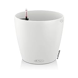 Macetas Marca Lechuza Lechuza Maceta, Classico Color, 21x20cm (9x8´´)